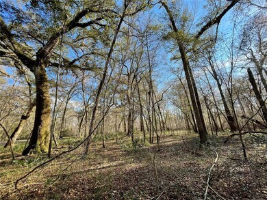 560 SW Santa fe Dr, Fort White, FL 32038 - photo 5