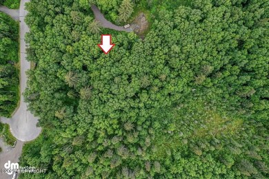 9-Aerial Image arrow