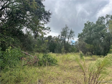 3800 E Crystal Ln, Inverness, FL 34452 - photo 2