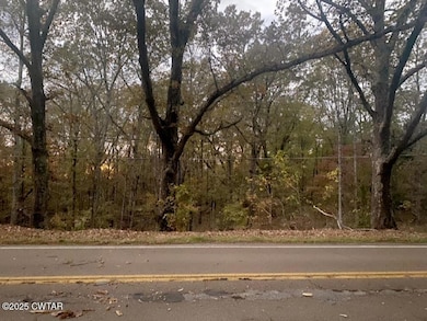 0 Natchez Trace Dr, Lexington, TN 38351 - photo 2