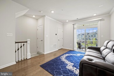 23230 Milltown Knoll Square unit 110, Ashburn, VA 20148 - photo 6