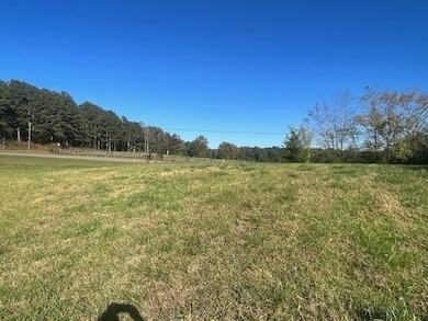 3011 Mark Foster Rd, Talking Rock, GA 30175 - photo 4