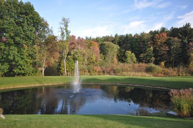 Pond