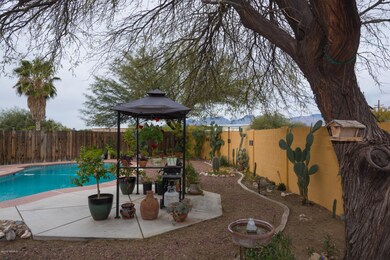 backyard-3