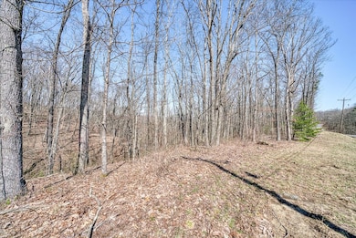 0 Lots 734 & 735 Renegade Pkwy unit 239400, Crab Orchard, TN 37723 - photo 5