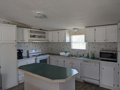 11 Babcock Rd, Colquitt, GA 39837 - photo 4