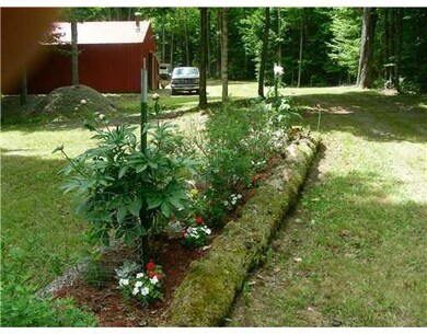 Yard/Garden.