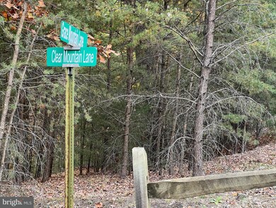 38 Gray Squirrel, Moorefield, WV 26836 - photo 5