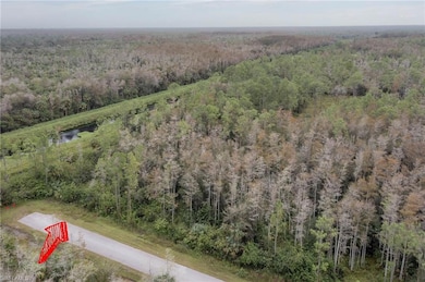 Bird's eye view with a wooded view