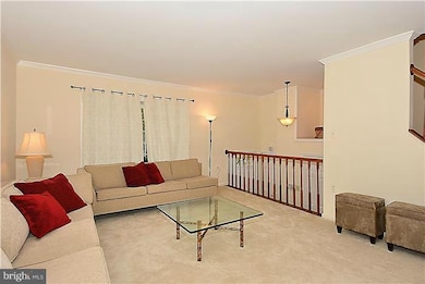 5729 Mason Bluff Dr, Burke, VA 22015 - photo 6