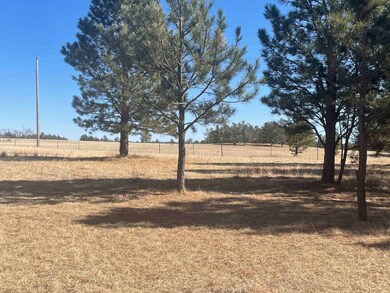 TBD Sundance Dr unit Tract 46: Lone Elk S, West Custer Township, SD 57747 - photo 6