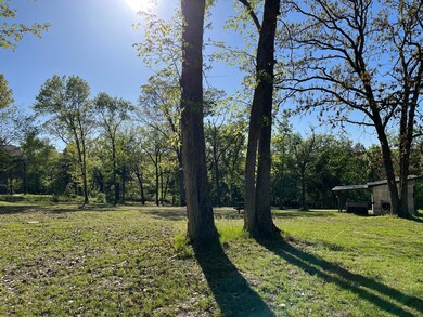 1 Hobbs Hollow Rd, Williams Township, MO 65747 - photo 7