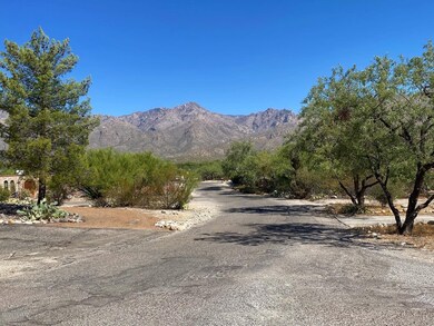 Neighborhood view 1