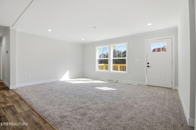 370 Tanasi Dr, Newport, TN 37821 - photo 4