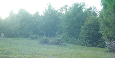 This bruiser was around in late summer!