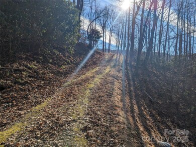 367 Kestrel Ln unit T-85, Black Mountain, NC 28711 - photo 3