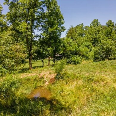 Pond