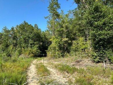 Tract#6409 River Rd unit 250.72+/-AC, Caryville, FL 32427 - photo 6
