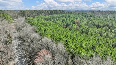 DJI_20240224181542_0787_D