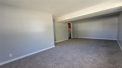 Lower Level Bonus Room