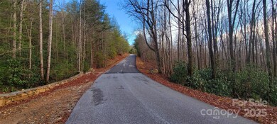 V/L Chickasaw Way unit 2B, Linville Falls, NC 28752 - photo 7