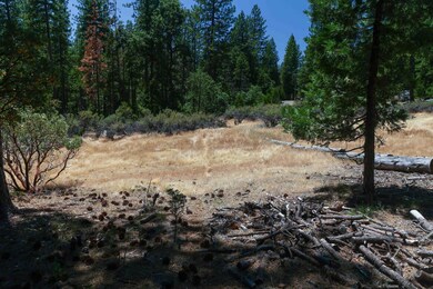 0 Speckled Rd, Pollock Pines, CA 95726 - photo 6