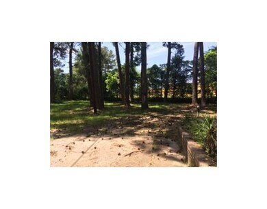 113 Rubin Dr, Pineville, LA 71360 - photo 4