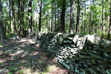 81 Upper Creek Rd, Stockton, NJ 08559 - photo 4