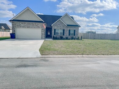 255 Grass Land St, Manchester, TN 37355 - photo 4