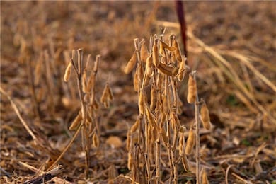 0 432 Rd unit HMS2587548, Savannah, MO 64485 - photo 7