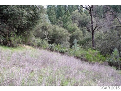 5970 Michel Rd, Mountain Ranch, CA 95246 - photo 4