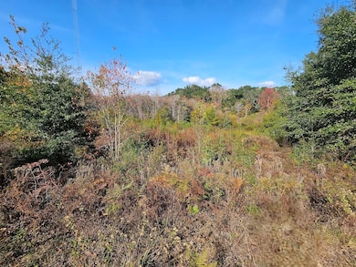 940 S Cedar Ave, Niceville, FL 32578 - photo 3