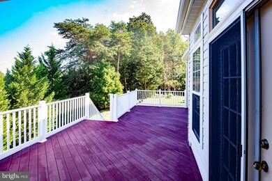 13011 Firestone Ct, Silver Spring, MD 20904 - photo 5