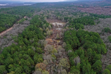 0000 County Line Rd, Booneville, AR 72927 - photo 3