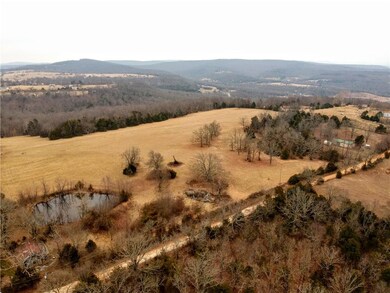 20821 Kirksey Rd, Elkins, AR 72727 - photo 6