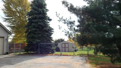 Driveway and Shed
