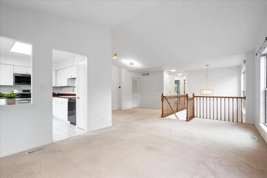 902 Sparta Ct unit 92, Vernon Hills, IL 60061 - photo 4