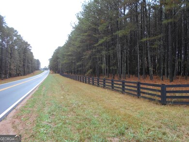 173 Youth Jersey Rd, Covington, GA 30014 - photo 4