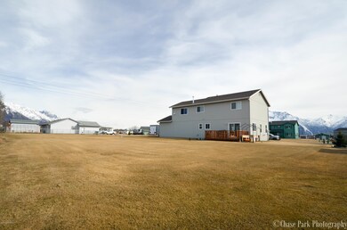 Backyard2