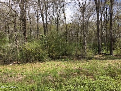 238 N Bud St, Lafayette, LA 70593 - photo 4