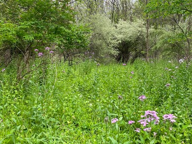 IMG_0544