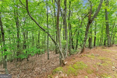 0 Laurel Point unit 10642027, Cleveland, GA 30528 - photo 6