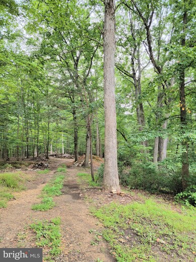 335 Thunder Rd, Front Royal, VA 22630 - photo 6
