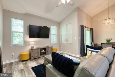 5006 Hollington Dr unit 303, Owings Mills, MD 21117 - photo 4