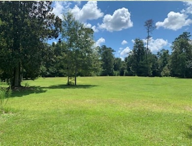 0 Bamboo Ln, Covington, LA 70435 - photo 4