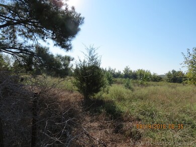 470 Scipio Ln, McAlester, OK 74501 - photo 4