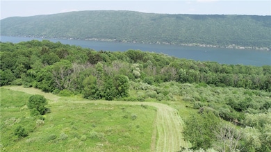 0 Longview Dr unit R1615828, South Bristol, NY 14512 - photo 6