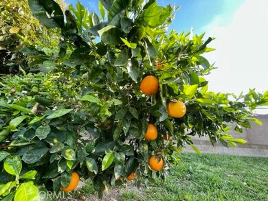 9222 Ramona St, Bellflower, CA 90706 - photo 4