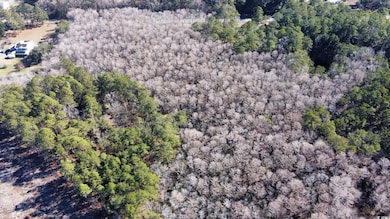 3143 S Island Rd, Georgetown, SC 29440 - photo 6