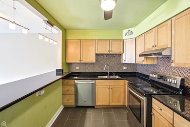 250 Ridge Ave unit 4H, Evanston, IL 60202 - photo 7